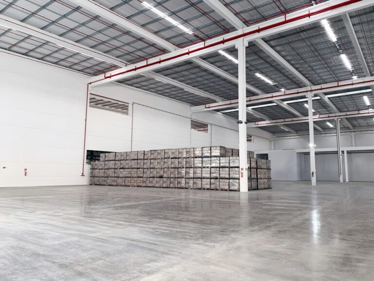 Aurora-01_upscaled-pichi