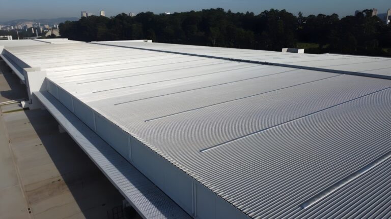 Brkf-Barueri-2_-pichi