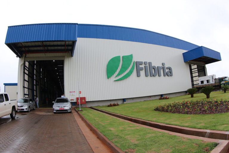 fibria-aparecida-do-taboado-01