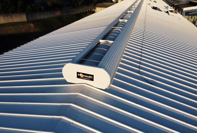 tortuga-pneus-agro-1_upscaled-pichi