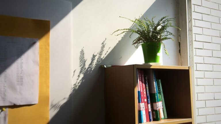 78t02u0j1ymxlruzu6z2hlcny